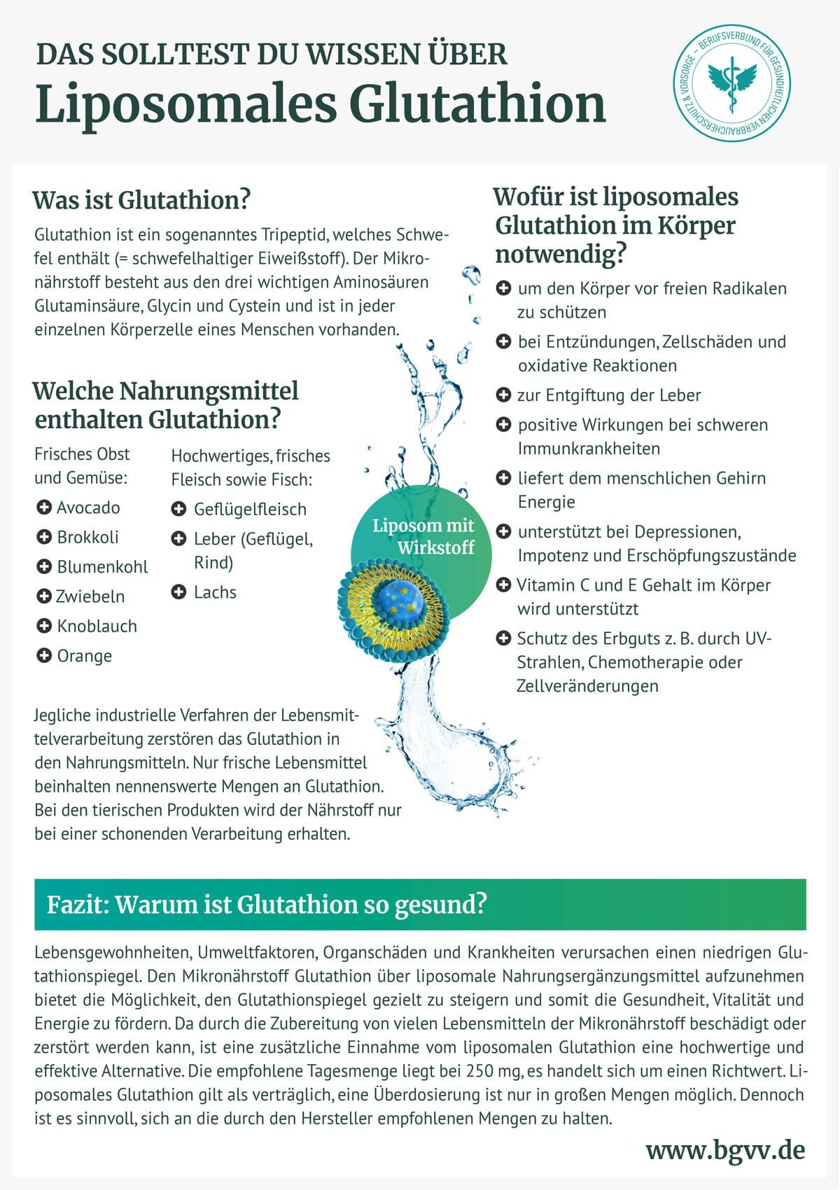 BGVV infografik Liposomales Glutathion