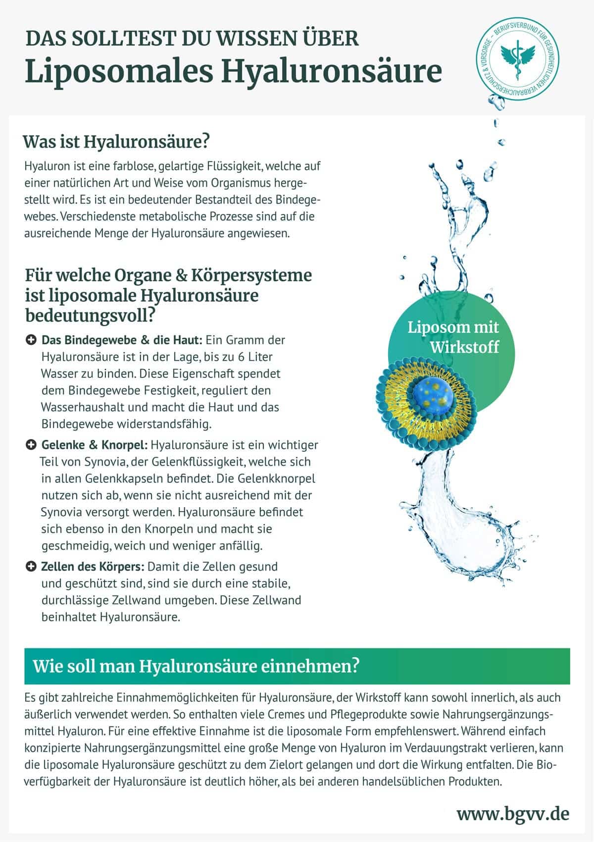 BGVV infografik Liposomales Hyaluronsäure