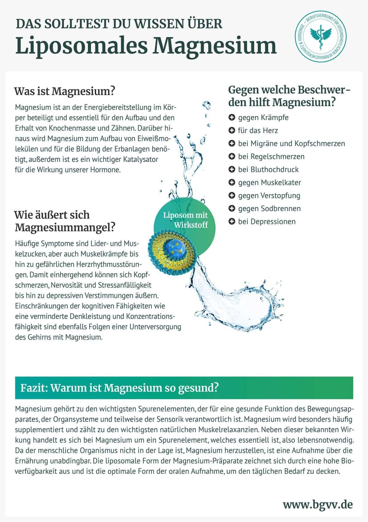 BGVV infografik Liposomales Magnesium