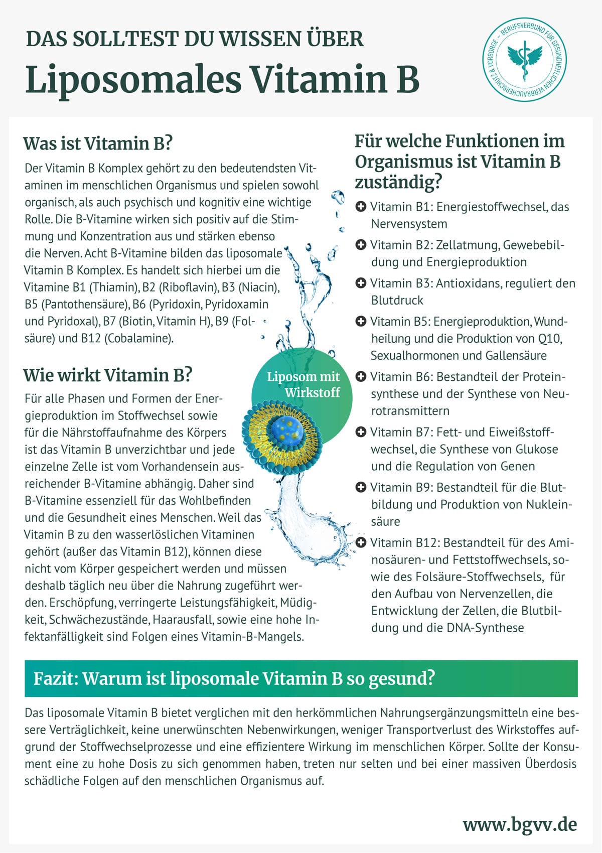 BGVV infografik Liposomales Vitamin B