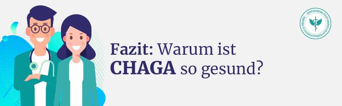 Fazit Chaga