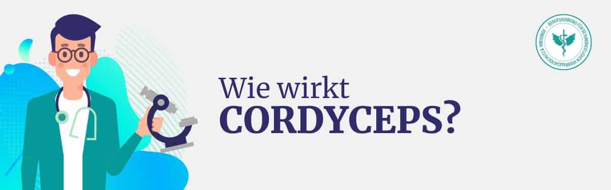 Wie wirkt Cordyceps