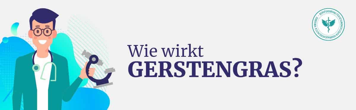 Wie wirkt Gerstengras