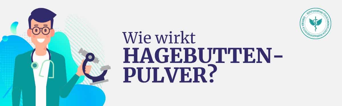 Wie wirkt Hagebuttenpulver