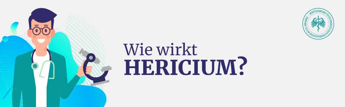 Wie wirkt Hericium