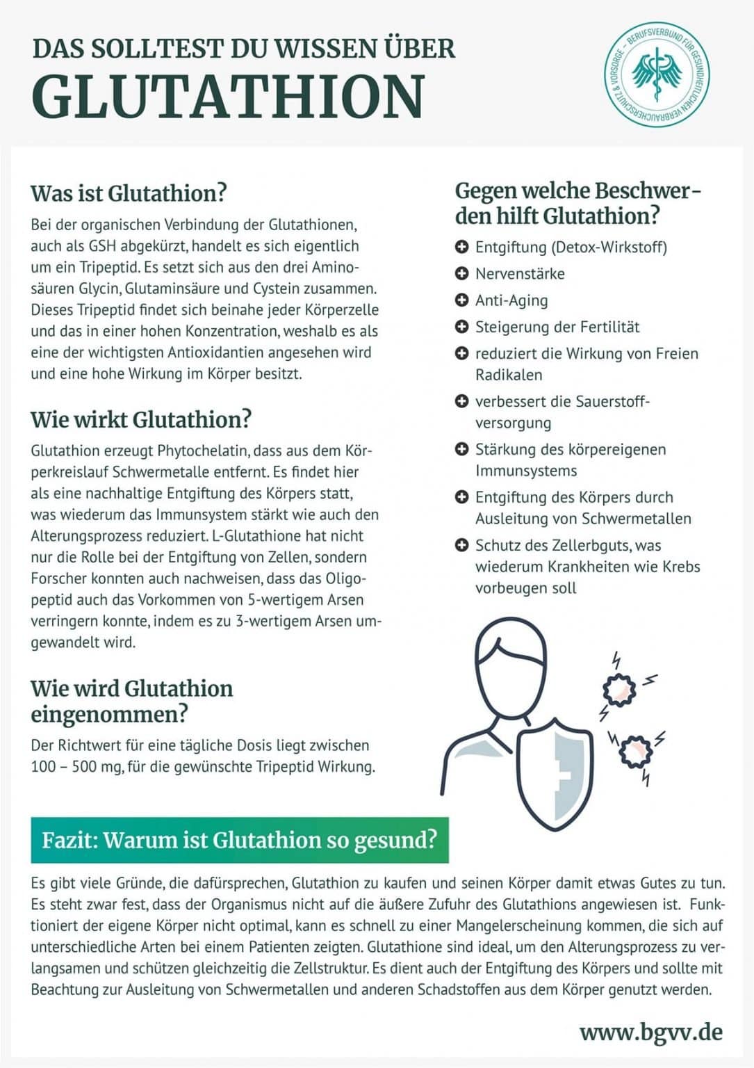 ️ ️ Glutathion - warum wird es das kleine Protein genannt?