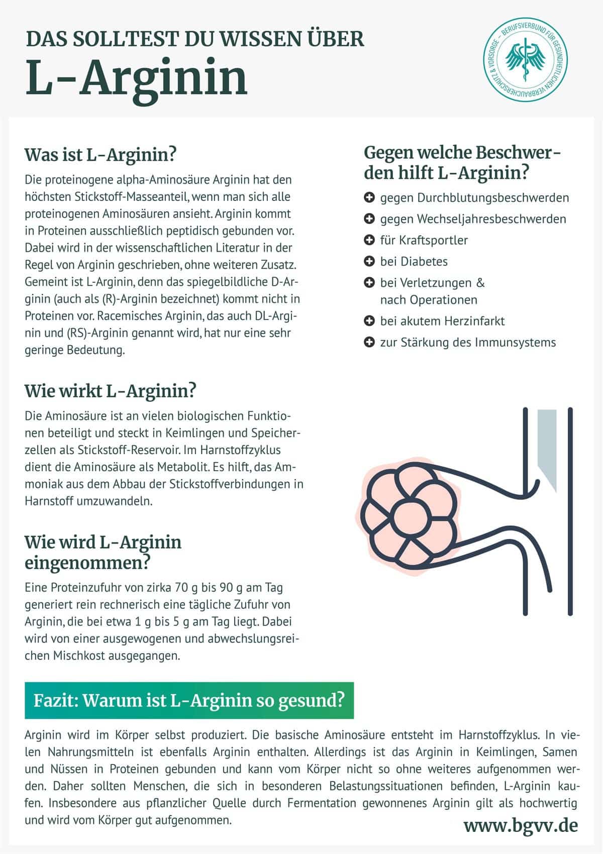 Bgvv L-Arginin Infografik