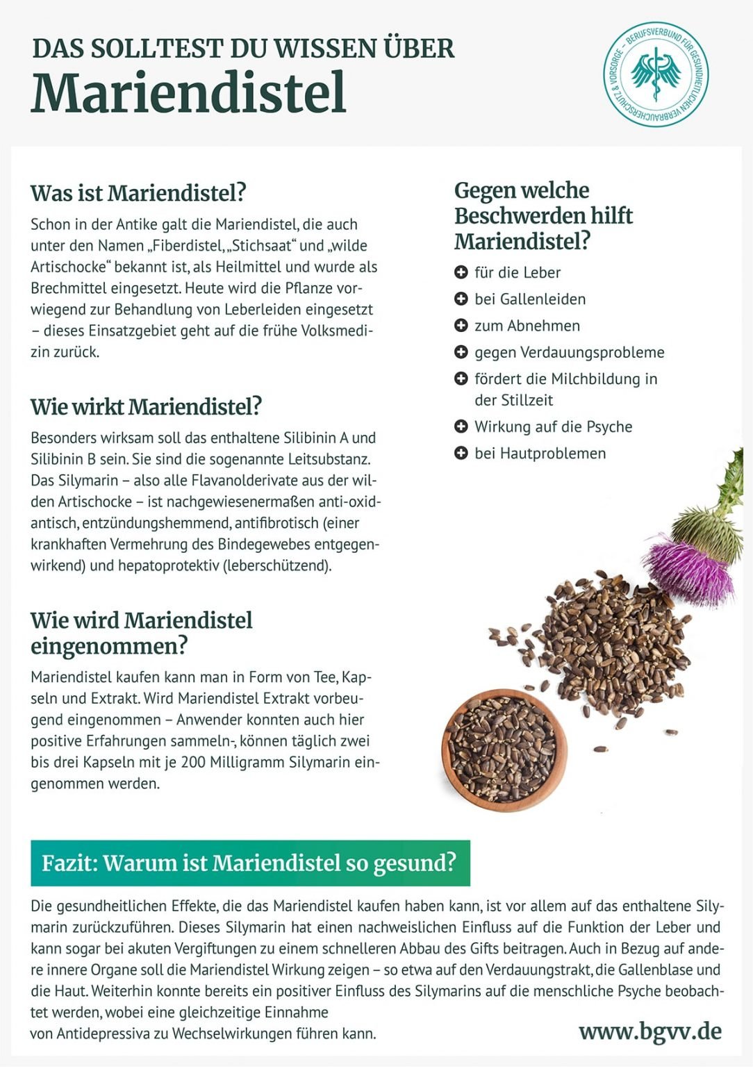 ️ ️ Mariendistel - gute Wirkung bei Leberproblemen?
