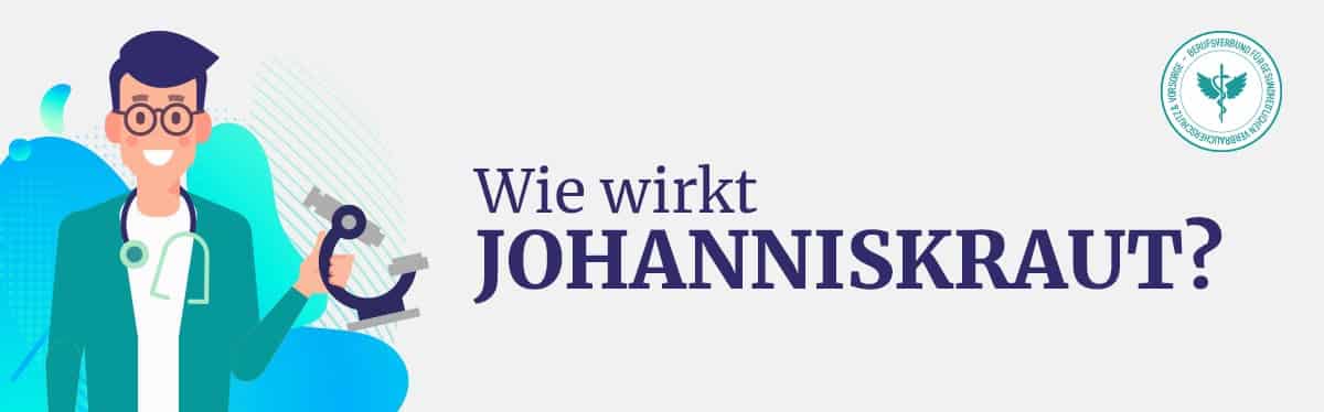 Johanniskraut-02 Wie wirkt Johanniskraut