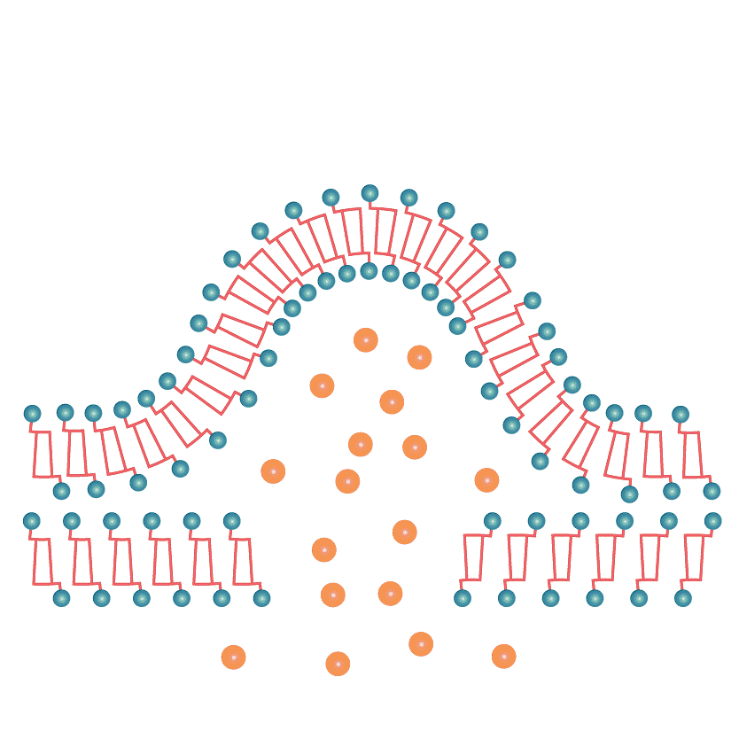 Liposomale Technologie