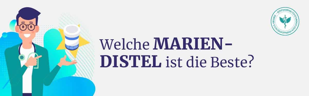 Beste Mariendistel