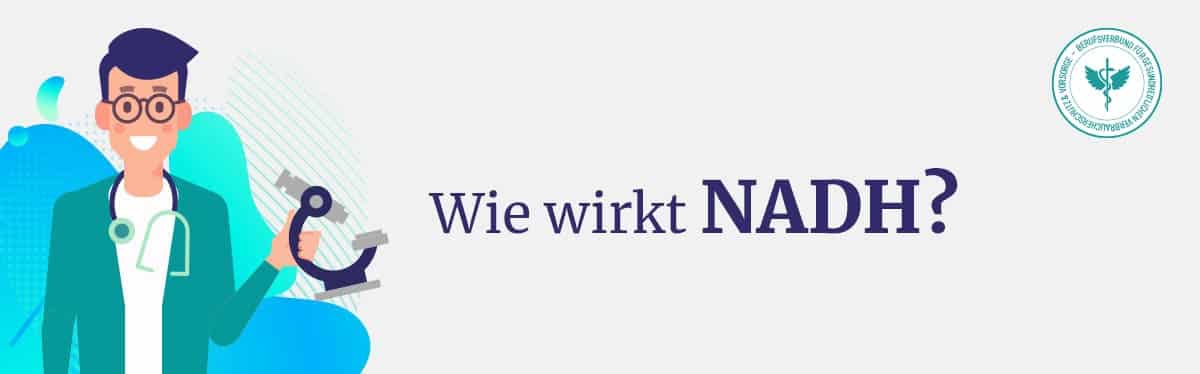 Wie wirkt NADH