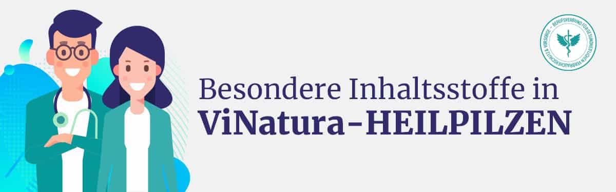 Inhaltsstoffe Vitalpilze