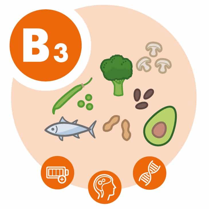 Vitamin B3