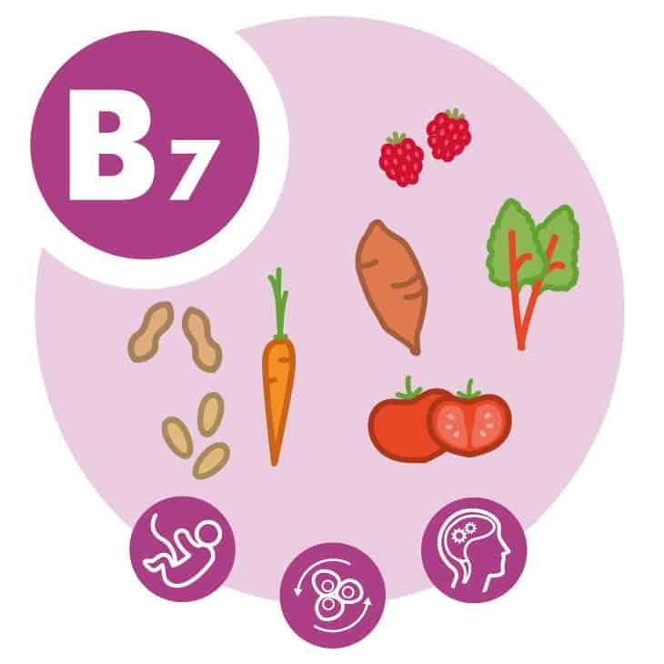 Vitamin B7